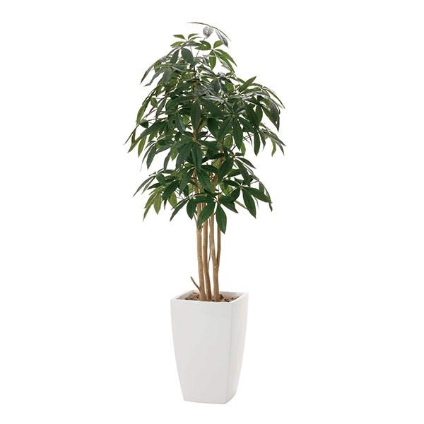 人工観葉植物 光触媒 観葉植物 フェイクグリーン インテリア 人工植物 高さ180cm アーバンパキラ1.8 消臭 抗菌 防汚