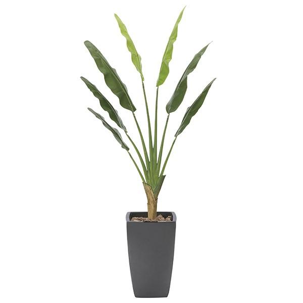 人工観葉植物 観葉植物 光触媒 観葉植物 フェイクグリーン インテリア 人工植物 高さ180cm 人工観葉 フェイクグリーン 消臭 抗菌 人工植物 防汚 アートトラベラーズパーム 0119a 家具通販 インテリアショップ Arne 公式プロモーション