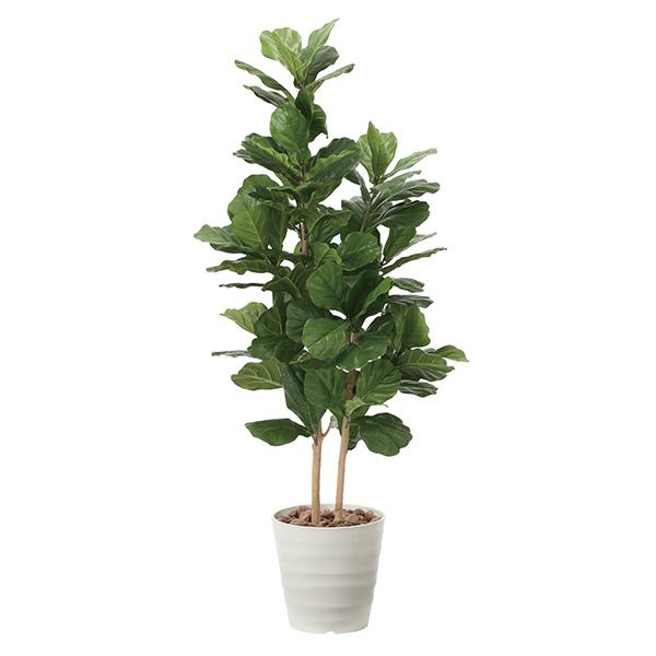 光触媒 観葉植物 植物 人工観葉植物 インテリア おしゃれ グリーン カシワバゴム 高さ160cm