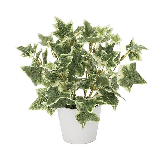 人工観葉植物 光触媒 ミニグリーン 観葉植物 ミニ フェイク グリーン インテリア 人工植物 高さ23cm アイビー 18 Off