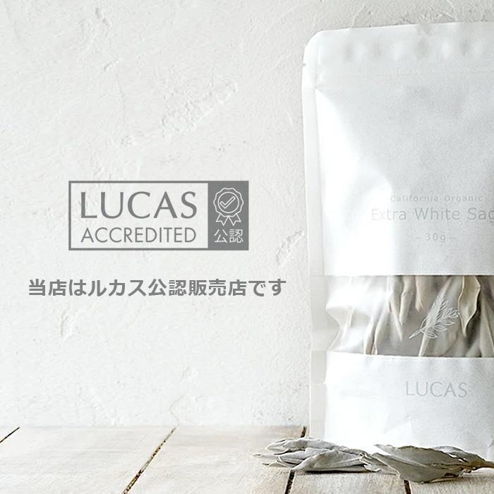 ルカス エクストラ ホワイトセージ スティック 枝 30g 浄化用 ／ LUCAS スマッジング ヨガ 瞑想 無農薬 ホーリーハーブ カリフォルニア直輸入｜arnos｜07