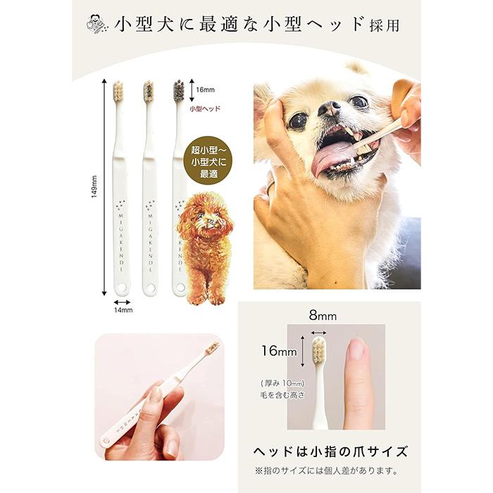 ミガケンデ 犬用 歯ブラシ 斜めカット植毛（ヤギ＆ウマ） ／ 小型・超小型犬用 天然毛 歯磨き ブラッシング ペット 多葉刷子工業所 日本製 メール便｜arnos｜06