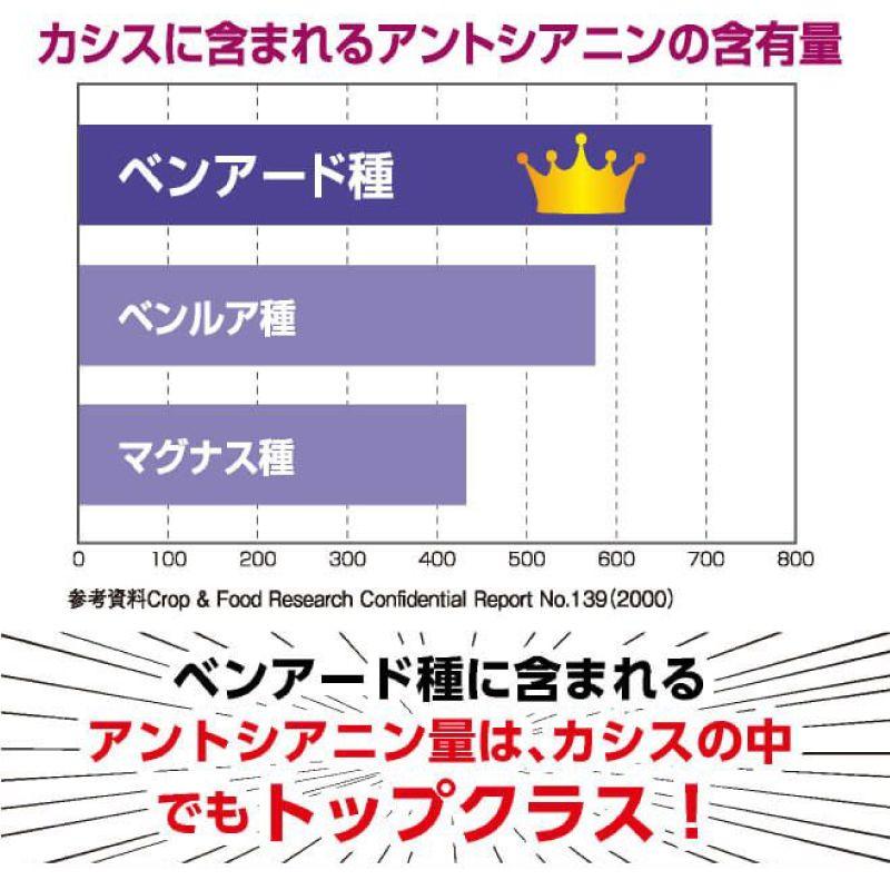 わかさ生活 カシスα 6袋（31粒入り）約6ヵ月分 カシス アイサプリ アントシアニン 疲れ目 目のかすみ ブルーライト対策 ドライアイ 爆買 |  | 04