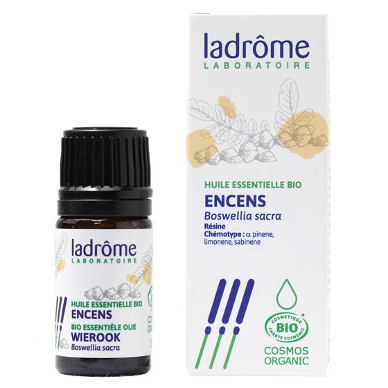 オーガニック フランキンセンス 5ml/ラドローム : アロマオイルSHOP