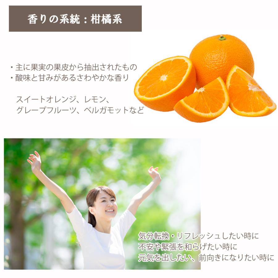 レモングラス 10ml エッセンシャルオイル アロマオイル 精油 柑橘系 (AEAJ表示基準適合認定精油)｜aroma-ash｜03