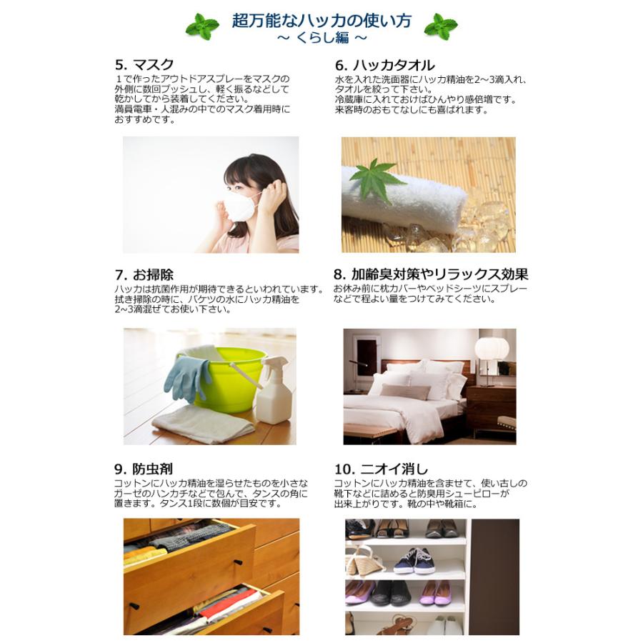 薄荷 ハッカ 100ml エッセンシャルオイル アロマオイル 和種薄荷 和ハッカ ハッカ油 ミント ハーブ系 Aeaj表示基準適合認定精油 Eo01055 アッシュ Ash Yahoo 店 通販 Yahoo ショッピング