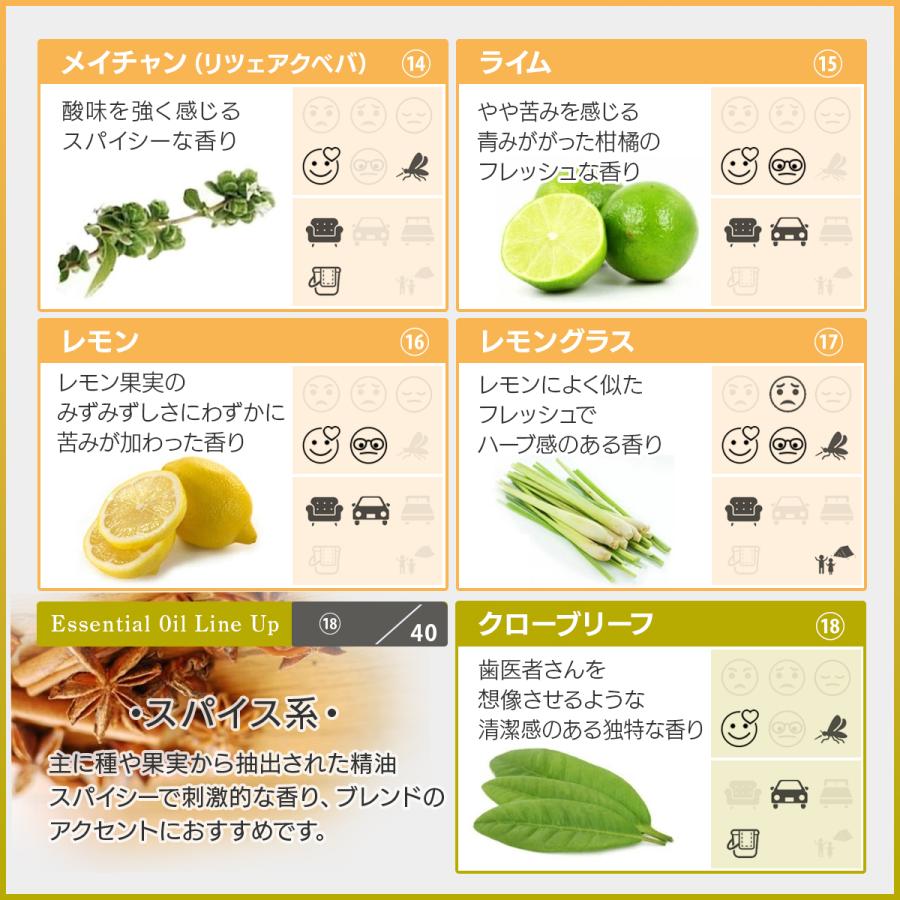 ASH AROMA アロマオイル 精油 セット 10ml 選べる 3本