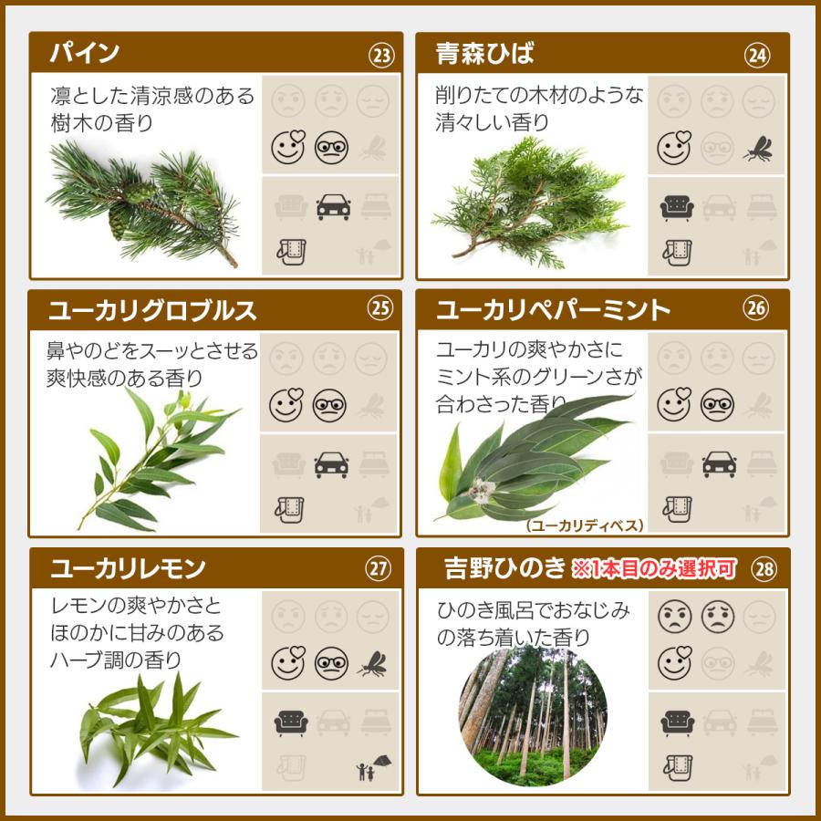 ASH AROMA 【期間限定 1,638円→1,500円！】 アロマオイル 精油 セット