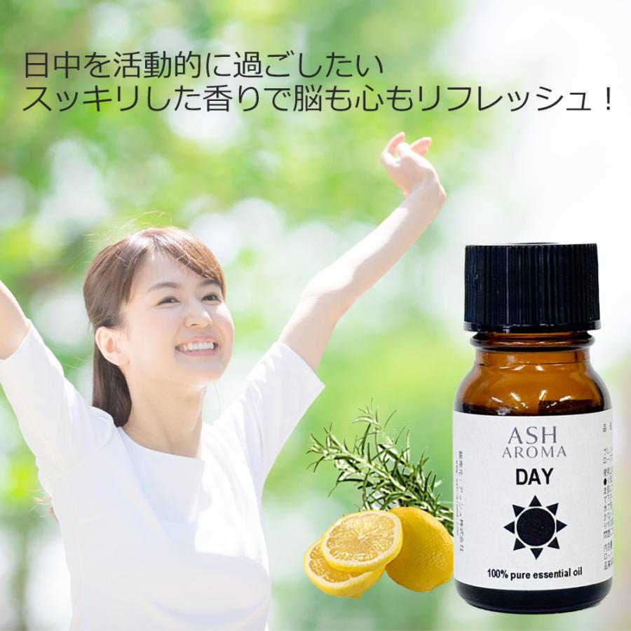 ASH AROMA ＼最大400円OFFクーポン配布中／ 昼用 夜用 ブレンド 10ml 2
