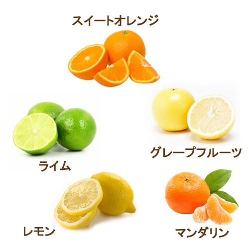 アロマオイル 5本セット 柑橘系シトラスC 各10ml エッセンシャルオイル 