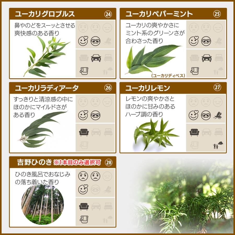 ASH AROMA アロマオイル 精油 セット 10ml 選べる 5本 エッセンシャル