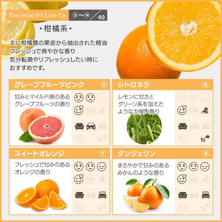 ASH AROMA ＼6/15限定5%OFFクーポン／アロマオイル 精油 セット 10ml