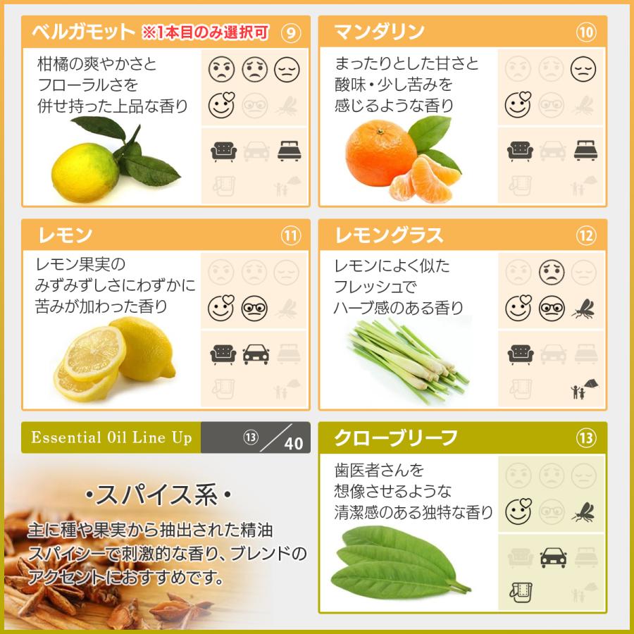 ASH AROMA ＼6/15限定5%OFFクーポン／アロマオイル 精油 セット 10ml