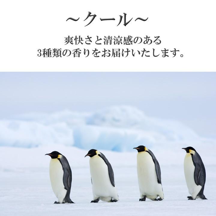 アロマオイル セット済み10種から選べる3本セット 各10ml エッセンシャルオイル AEAJ認定精油｜aroma-ash｜20