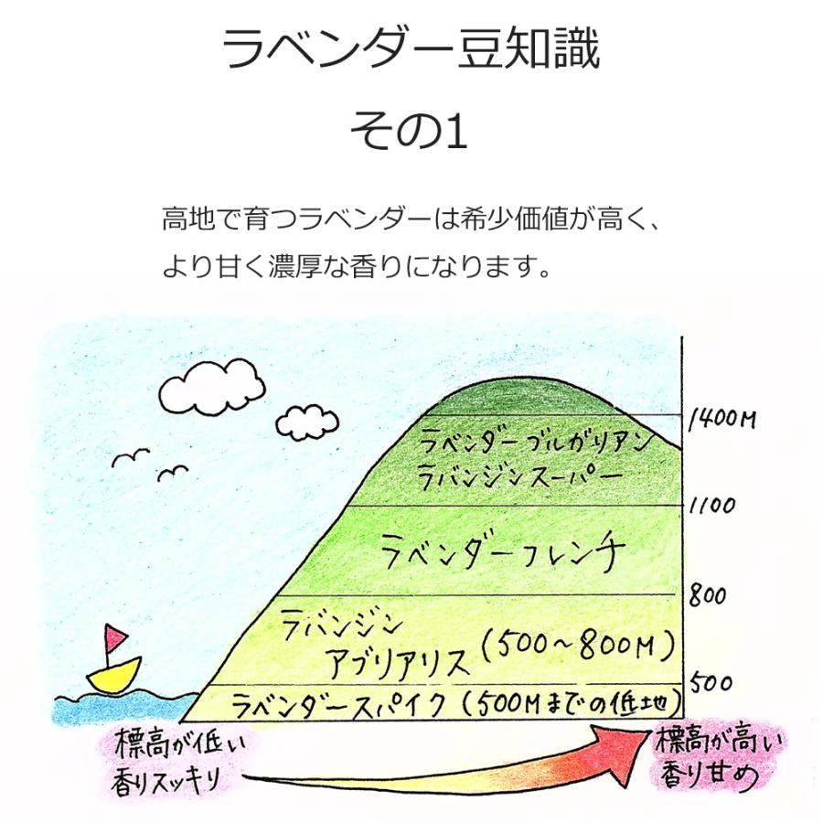 オーガニック ラベンダーブルガリアン  エッセンシャルオイル 100ml アロマオイル 精油 AEAJ認定 天然 有機 Organic 業務用｜aroma-ash｜05