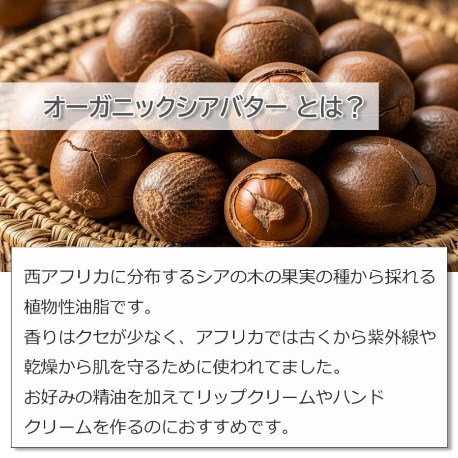 シアバター - オリジナル 50ml ASH AROMA シアバター（精製）オーガニック 50g 【無添加/植物性