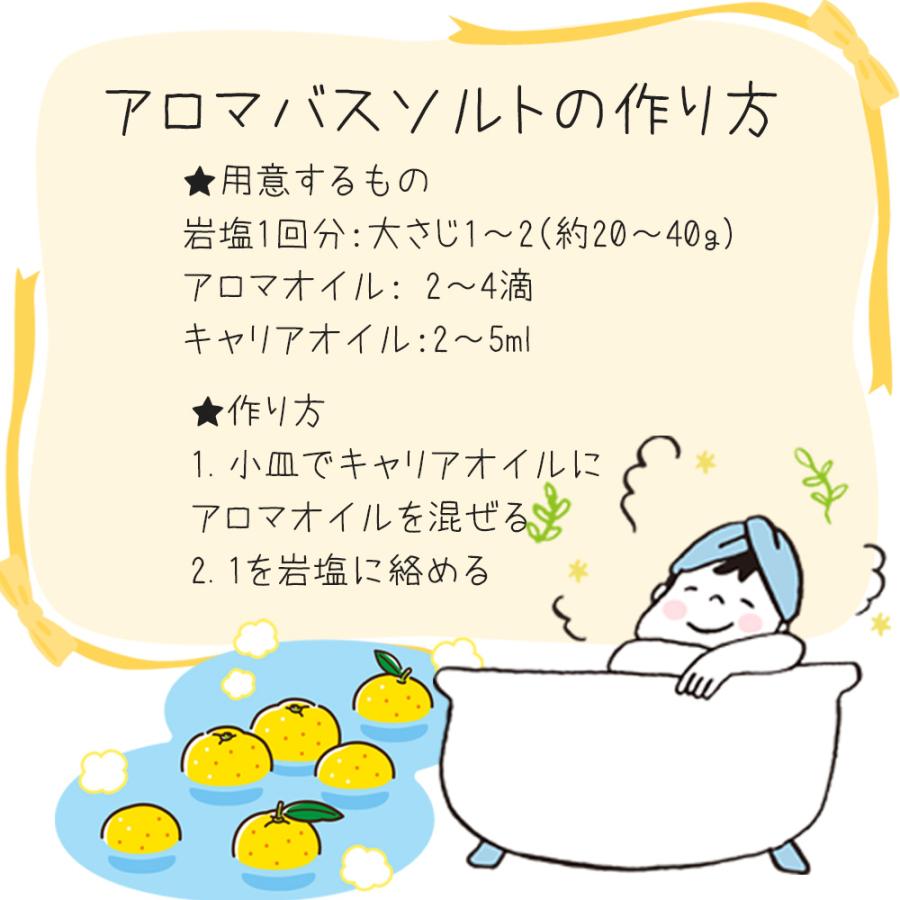 ヒマラヤ岩塩 6種類から選べる お試し 80g 食塩 バスソルトベース 塩