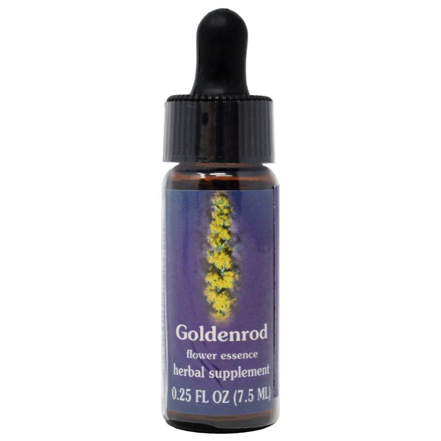 Fes クイント ゴールデンロッド 7 5ml 日本国内正規品 お得