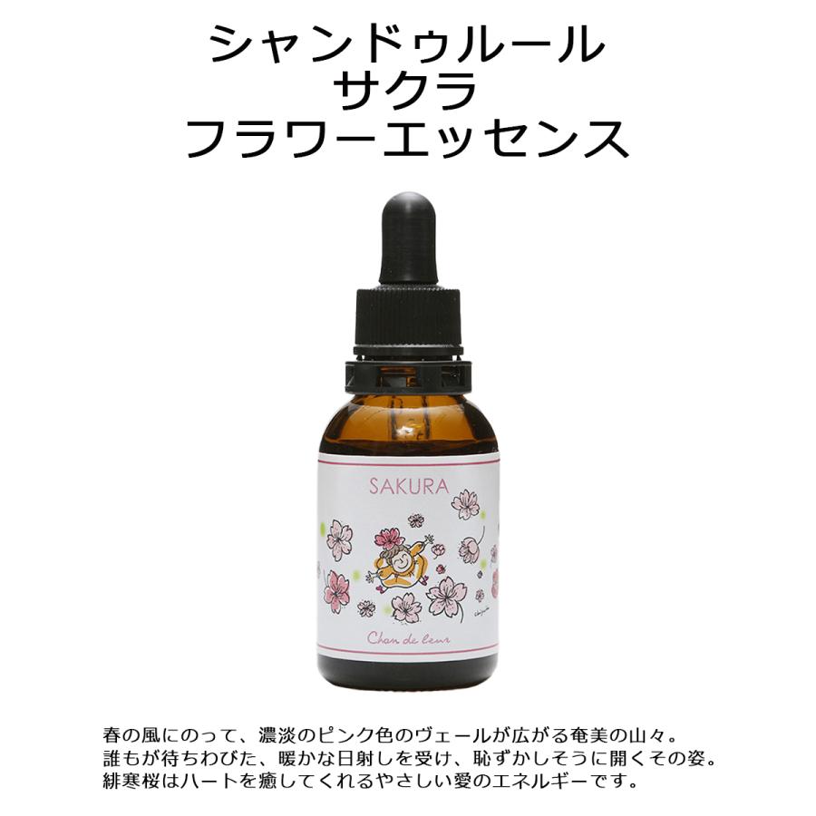 シャンドゥルール 緋寒桜 フラワーエッセンス 20ml 日本国内正規品 【 シャンドゥルール 奄美の四季 フラワーエッセンス シャンドゥルール Chandeleur 】|aroma-enciel|02