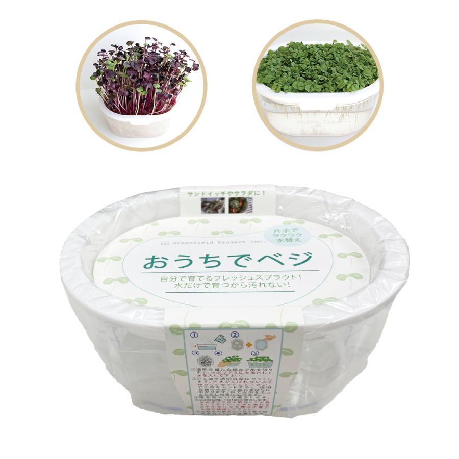 育てて食べる スプラウト 栽培キット 2品種 赤ラディッシュ ルッコラ Ogsg 16 日本国内正規品 おうちでベジ 栽培容器 プレゼント 母の日 父の日 Aenpd アンシェル ヤフーショッピング店 通販 Yahoo ショッピング