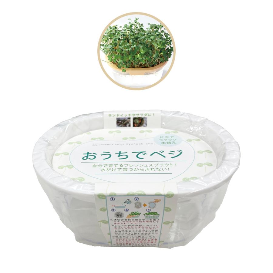 育てて食べる スプラウト 栽培キット マスタード Ogsg 911 日本国内正規品 おうちでベジ 簡単 栽培 栽培容器 有機種子 プレゼント 母の日 父の日 Aenpd アンシェル ヤフーショッピング店 通販 Yahoo ショッピング