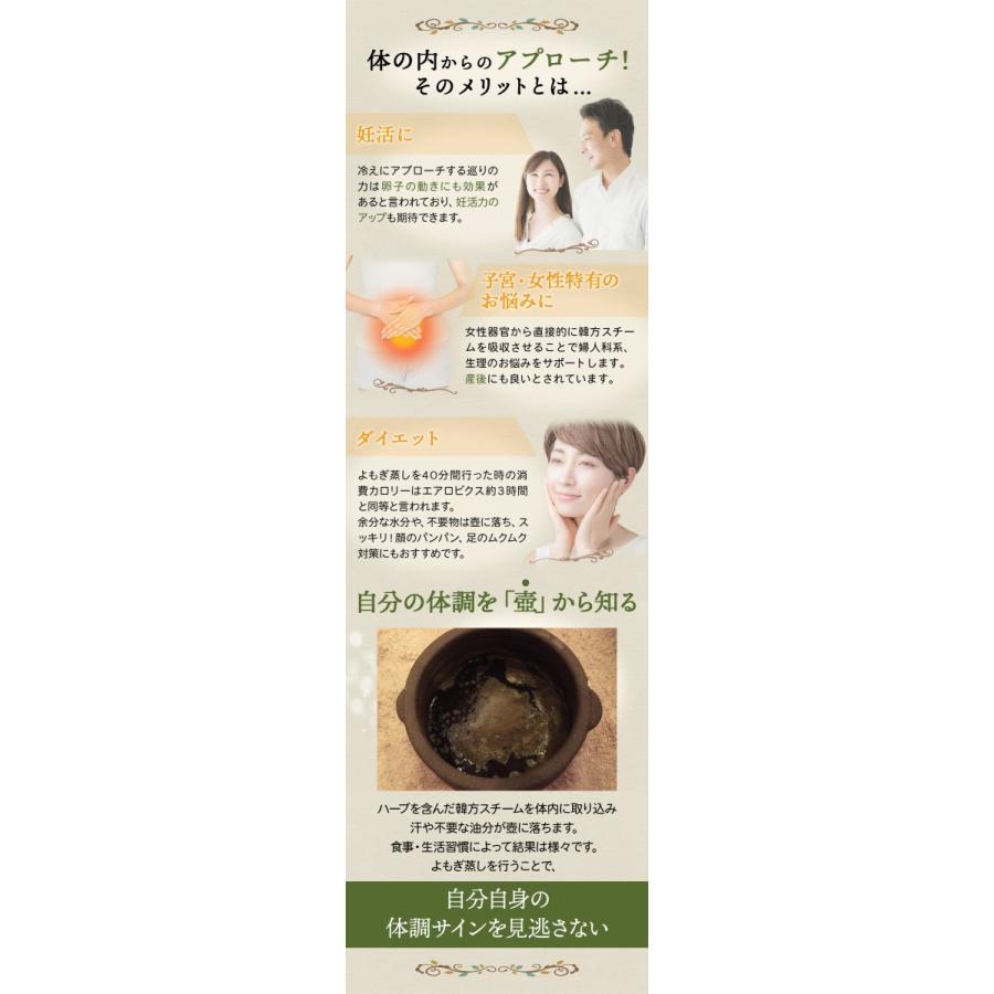 黄土韓方蒸しセット ファンジン 黄土 よもぎ蒸し スタートセット Yomogimushi リュバンブラン ヤフー店 通販 Yahoo ショッピング