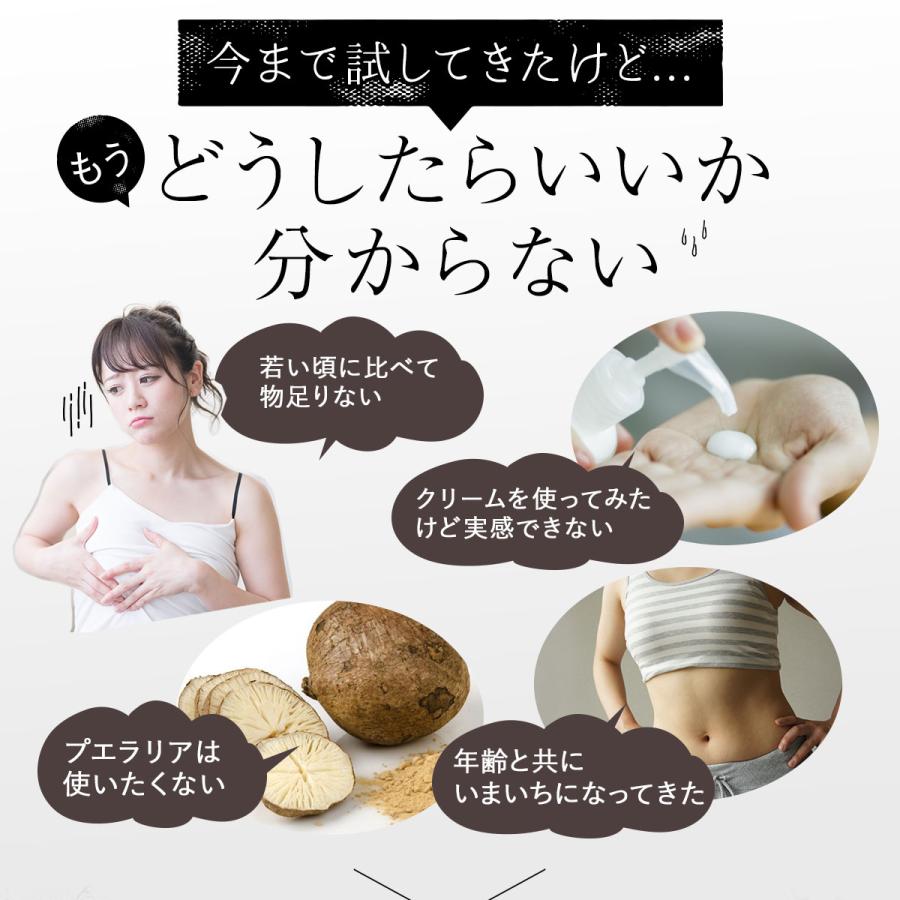 【LINE友達で500円OFF】 エラスチン 葉酸 鉄分 サプリメント 女子力 アップ グラマラスエラスチン コラーゲン  マカ ザクロ 約1か月分 60粒｜aroma-ric｜06