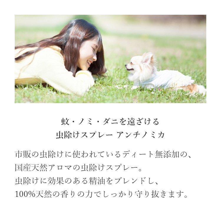 537円 22公式店舗 公式 虫よけスプレー 愛犬用 アンチノミカ 300ml詰替用 エコパック 虫除け 虫よけ スプレー ディート不使用 犬