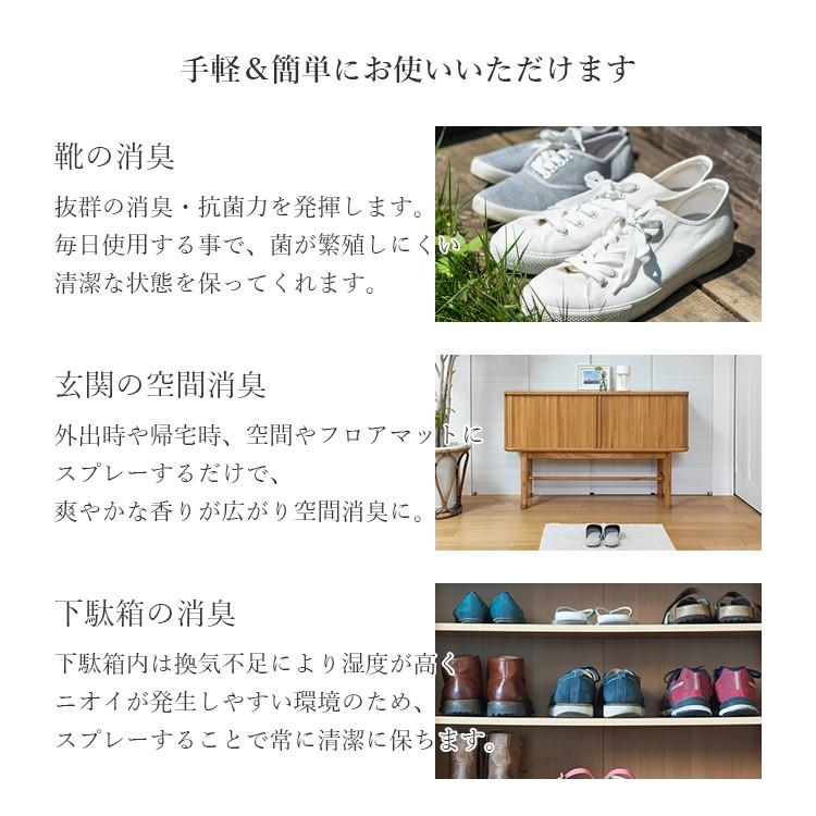 靴用 消臭スプレー 天然 送料無料 シューズフレッシュ 2本セット 100ml 15ml アロマ シューズ 靴 消臭 父の日 ギフト プレゼント メンズ 父の日ギフト 水虫 Arsp Shoes15 100 Aromic Style ヤフー店 通販 Yahoo ショッピング