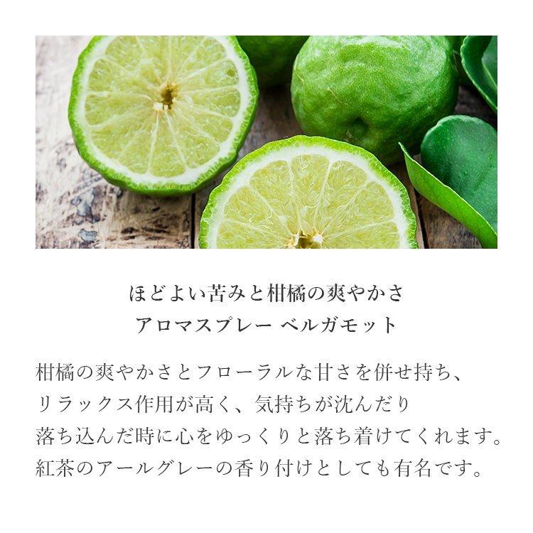 在庫限り 送料無料 天然アロマスプレー ベルガモット 3点セット 100ml 100ml詰替 2 アロマ 香水 父の日 プレゼント ギフト 父の日ギフトアロミックスタイル Wantannas Go Id