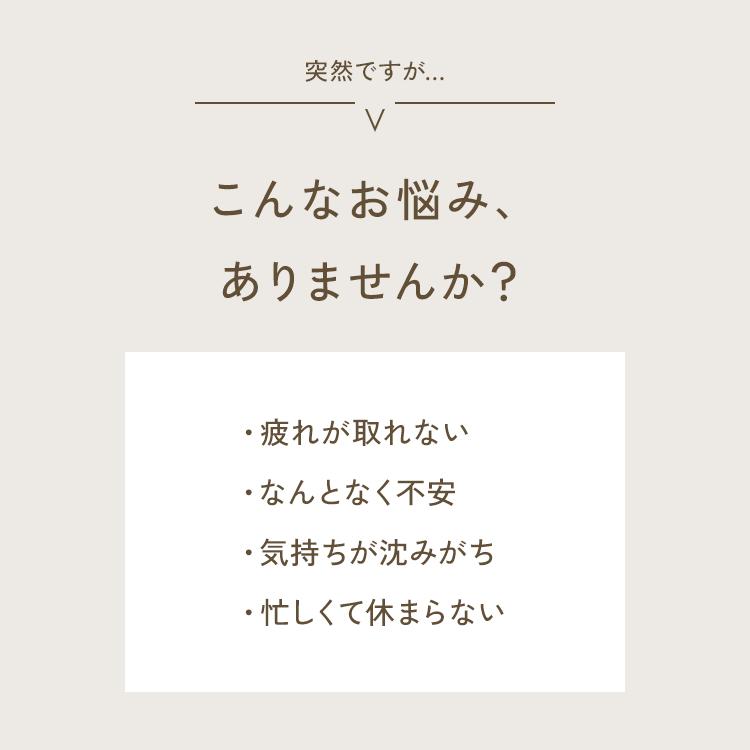 ストレスケア 天然アロマ リードディフューザー (120ml)  アロマディフューザー ルームフレグランス 芳香剤 スティック おしゃれ ギフト アロミックスタイル | アロミックスタイル | 02