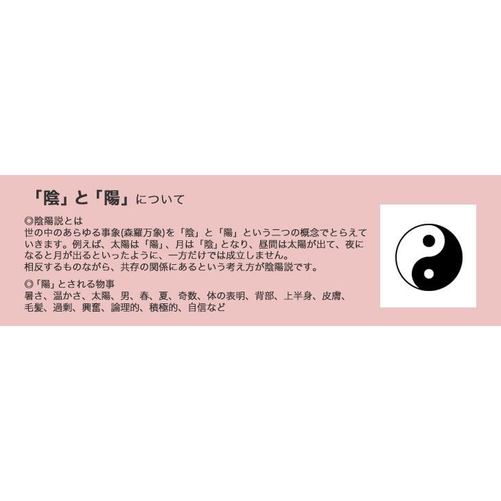 Dr.エバーハルト エネルギー・プラス 「陽」100ml 陰陽五行マッサージオイルの画像