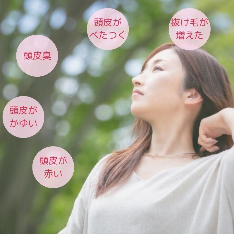 ヘアケア2点セット ローズシャンプー 250ml ローズオイル 50ml シャンプー 洗い流さない トリートメント_4