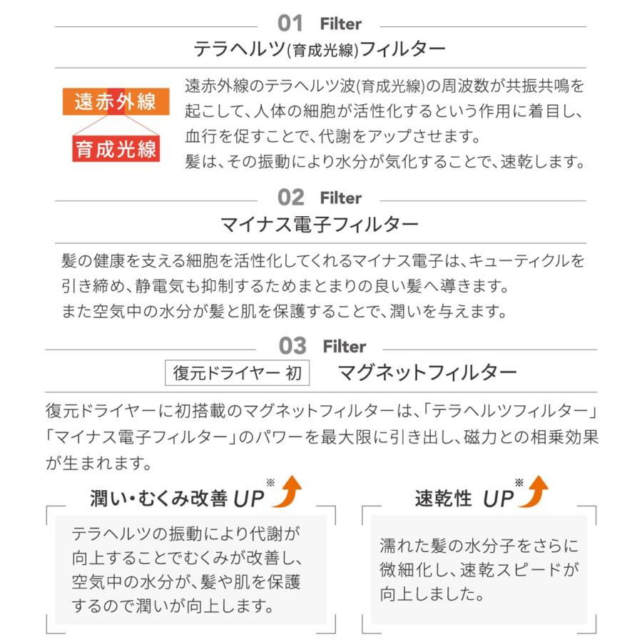 LOUVREDO（ルーヴルドー） 復元ドライヤー Pro8 LOUVREDO 低電磁波