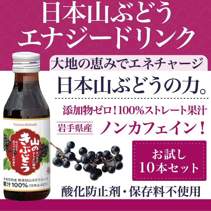 エナジー ドリンク 山のきぶどう100ml×10本 : ハーブティー・クレイ
