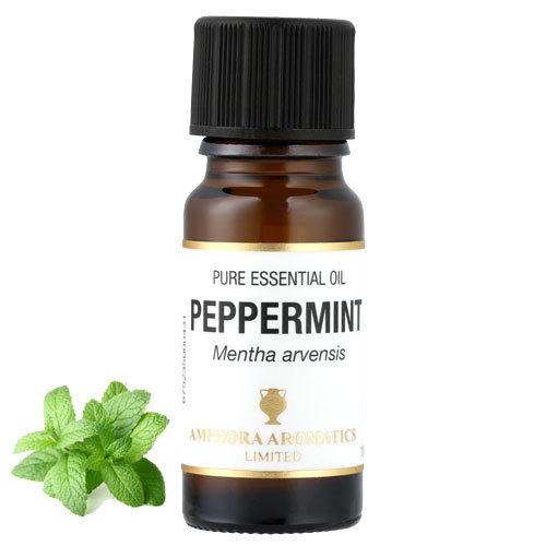 エッセンシャルオイル mint ペパーミント エッセンシャルオイル 10ml : アロマキュアYahoo