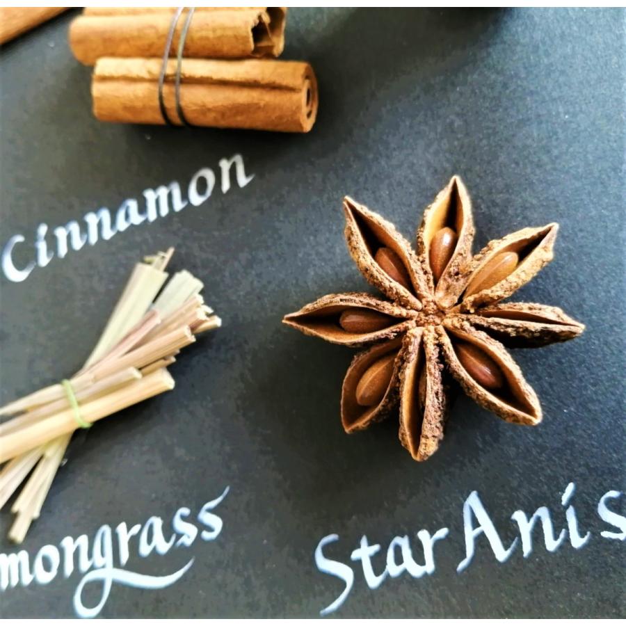 ハーブ スパイス フレーム 標本 プリザーブドフラワー ドライフラワー