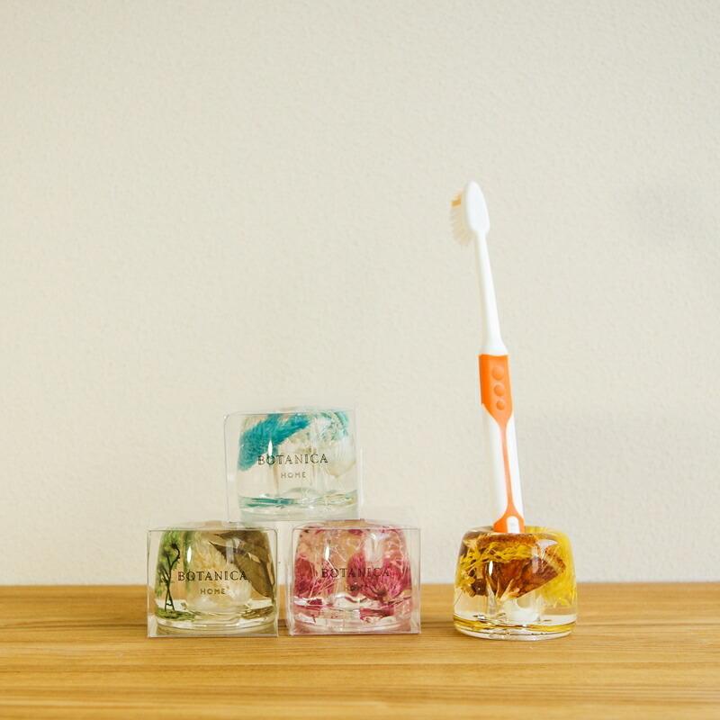 1~7営業日出荷 歯ブラシ スタンド TOOTH BRUSH STAND botanica