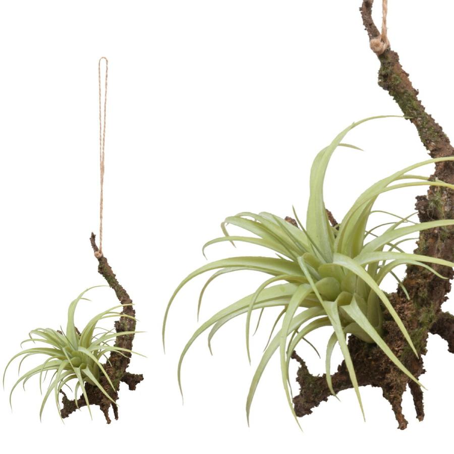 フェイクグリーン イミテーショングリーン ハンギングエアープランツs 人工観葉植物 造花 玄関 トイレ 部屋 W15 D18 H42 アロマージュプリュス 通販 Yahoo ショッピング