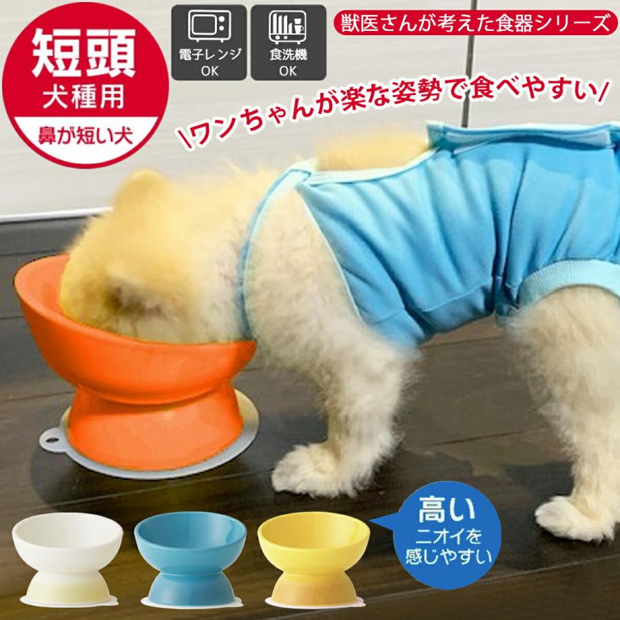 スケーター 1~7営業日出荷 犬 食器 短頭犬種用 パグ ブルドッグ CHOB3