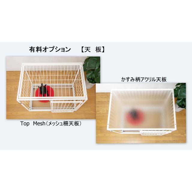 ¥10,000→¥8000 透明アクリル製中型ケージ 扉と後面がアクリル ケージ W90×D60×H60cm 小型犬 〜 中型犬用 6M