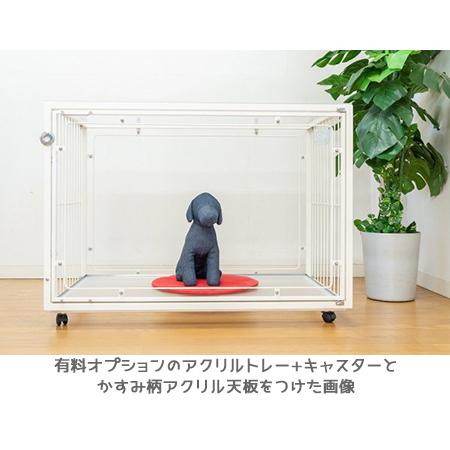 扉と後面がアクリル ケージ W90×D60×H60cm 小型犬 〜 中型犬用 6M