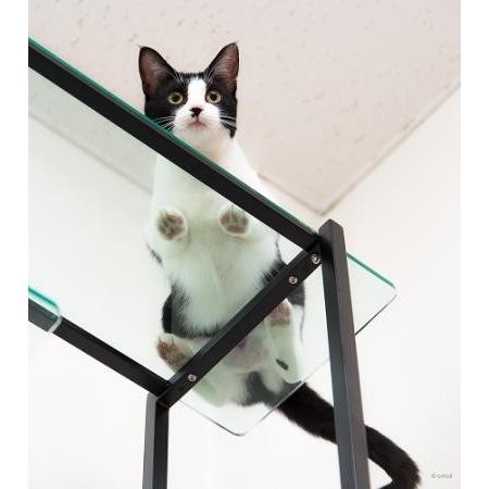 キャットタワー ガラス パウズ クロップ Cat Shelf Paws Crop extail