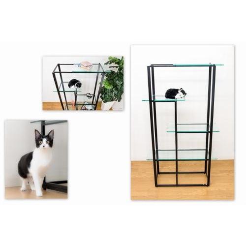 キャットタワー ガラス パウズ クロップ Cat Shelf Paws Crop extail