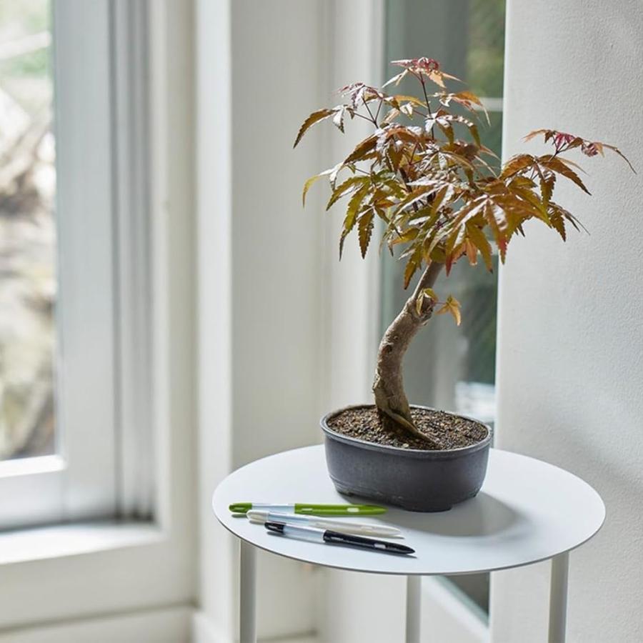 sus・tee サスティー Mサイズ 水分計 植物用水分計 水やり名人 