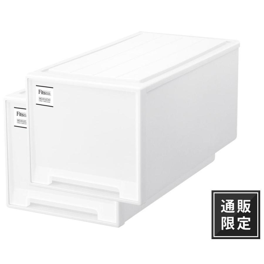 天馬 天馬 フィッツケース モノ ビッグ【2個セット】収納ケース