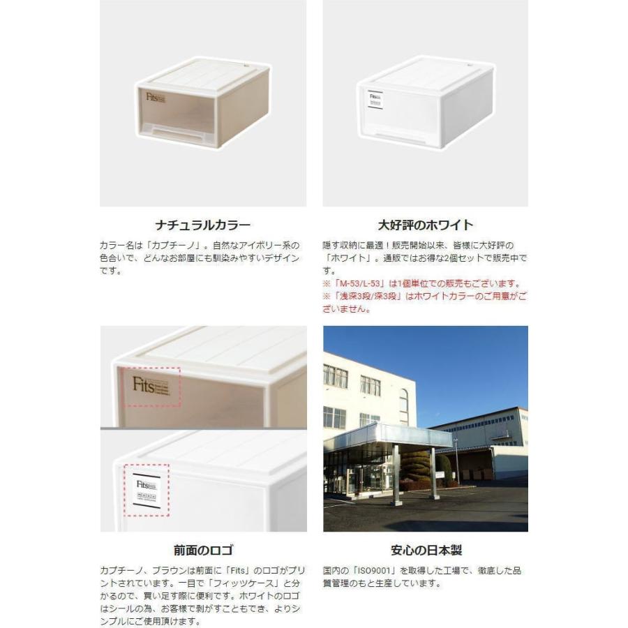 【通販限定2個セット】天馬 収納ボックス フィッツケース クローゼット 幅30× 天馬公式】フィッツケース モノ クローゼット L-30 2個セットの通販