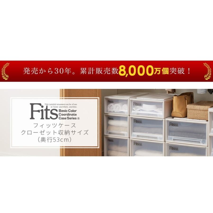 天馬 天馬 フィッツケース モノ クローゼット ワイドL-53