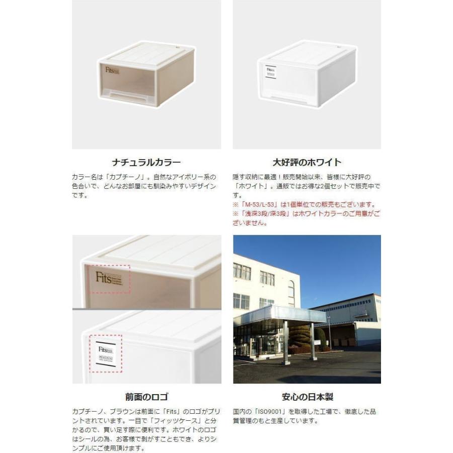 天馬 天馬 フィッツケース モノ クローゼット ワイドM-53