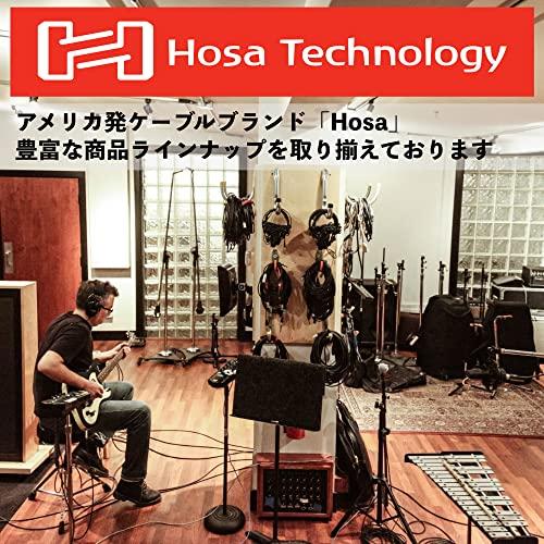 Hosa GPP-290 ステレオフォンメス-モノラルフォンオス 変換プラグ｜around-store｜02